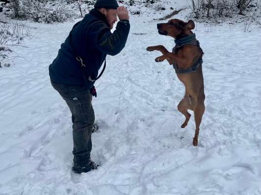 Dogorama Photo Challenge - Winterstimmung-Beitrag-Bild