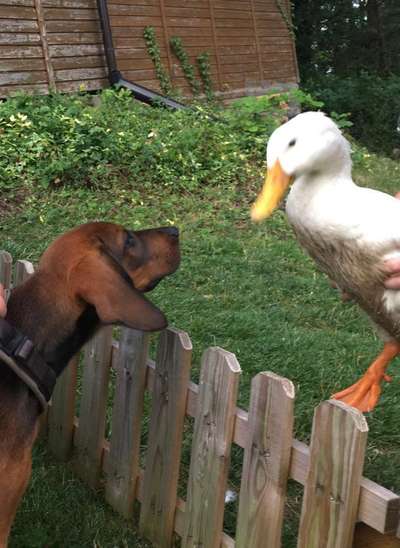Fotowettbewerb zum Thema "Sonne"-Beitrag-Bild