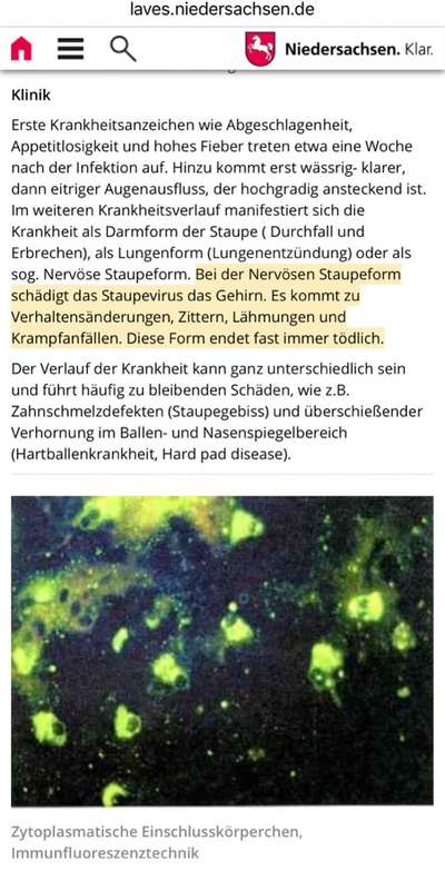 Impfen ja oder nein?-Beitrag-Bild