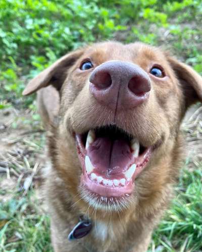 Fotochallange Nr. 57     PORTRÄT.   Beendet!!!!!!!!-Beitrag-Bild