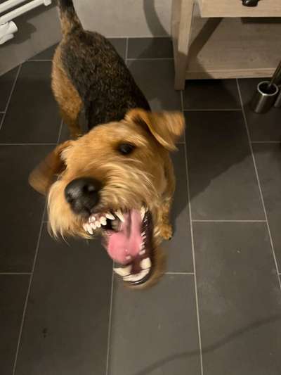 20. Handy -Foto-Callenge-Beitrag-Bild