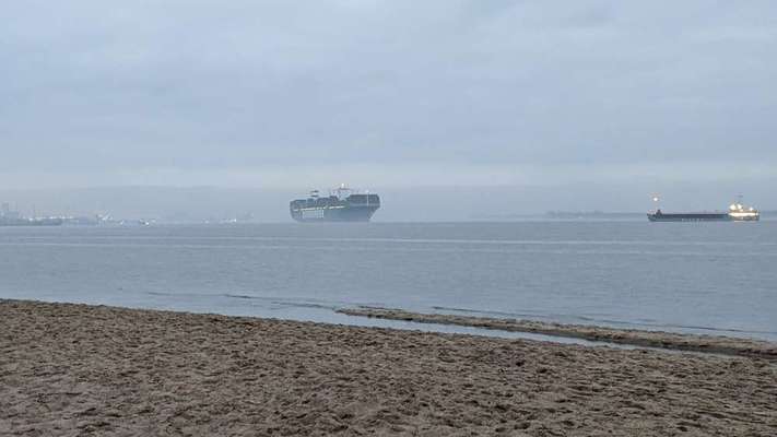 Hundeauslaufgebiet-Bassenfleeth Elbstrand-Bild