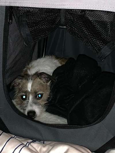 Fotochallange Nr. 6 Die irrsten Blicke-Beitrag-Bild