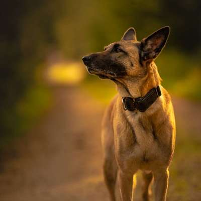 %{de_profession_title}-Fotografie-Bild