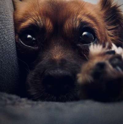 32. Collagen Challenge - eure liebsten gestellten Fotos-Beitrag-Bild