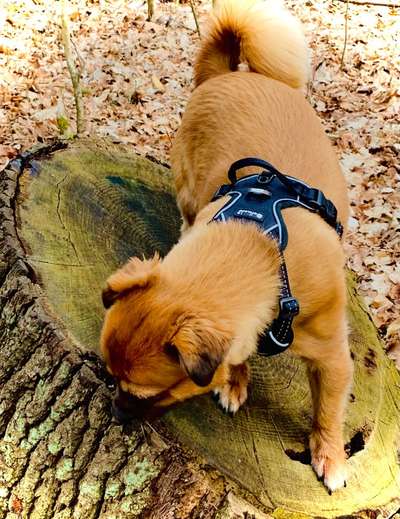 32. Collagen Challenge - eure liebsten gestellten Fotos-Beitrag-Bild