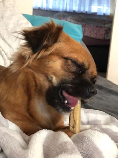 "Die eingefangene Magie des Augenblicks"-Beitrag-Bild