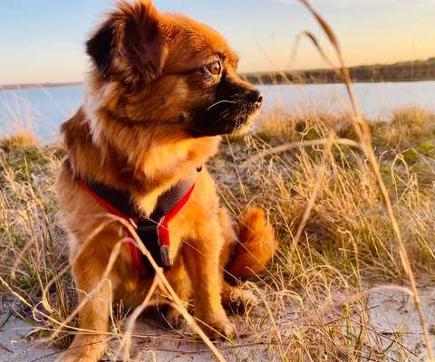 Farben Fotochallenge Sonnenlicht-Beitrag-Bild