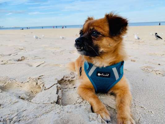 32. Collagen Challenge - eure liebsten gestellten Fotos-Beitrag-Bild