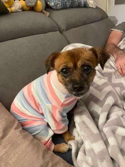 32. Farben Challenge  ** ( BUNTE ) STREIFEN **-Beitrag-Bild