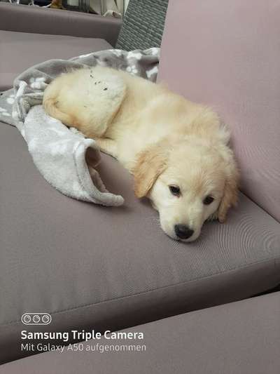 Erstes Bild-Beitrag-Bild