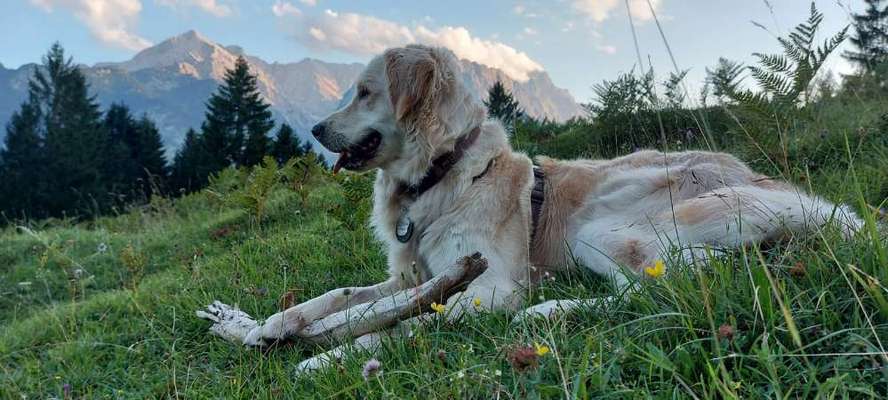 Lieblingsbild-Beitrag-Bild