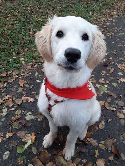 Von oben-Beitrag-Bild