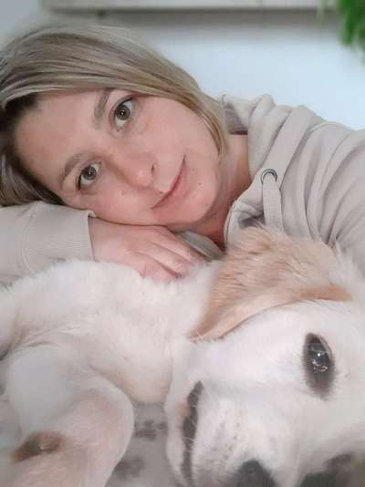 Hundmenschfotos-Beitrag-Bild