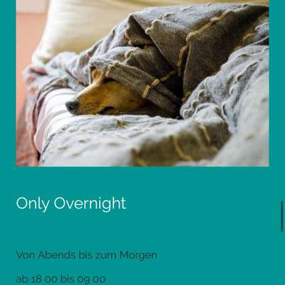 Giftköder-Only Overnight-Bild