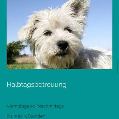 Giftköder-Halbtagsbetreuung-Bild