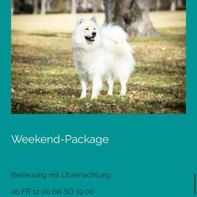 Giftköder-Weekend-Package-Bild