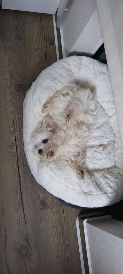 Die unbequemsten und lustigsten Schlafpositionen-Beitrag-Bild