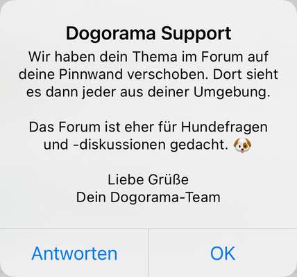 Hochwertiges / Bedarfsgerechtes Nassfutter (ohne Barfen), welches nur?-Beitrag-Bild