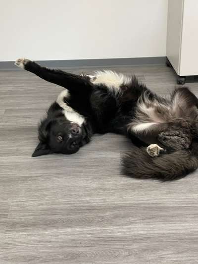 FOTO-Challenge  NR. 91: Die pure Entspannung-Beitrag-Bild