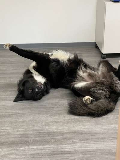 Fotochallenge Nr.65-Beitrag-Bild