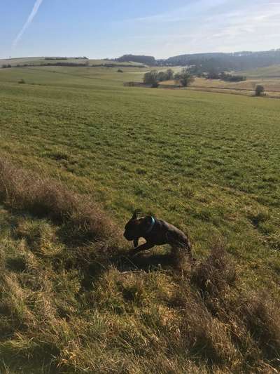 Fotochallenge No. 26                                     Wald und Wiese-Beitrag-Bild