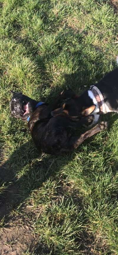 Fotochallange Nr. 6 Die irrsten Blicke-Beitrag-Bild