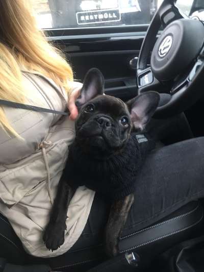 Foto Challenge 3-Beitrag-Bild