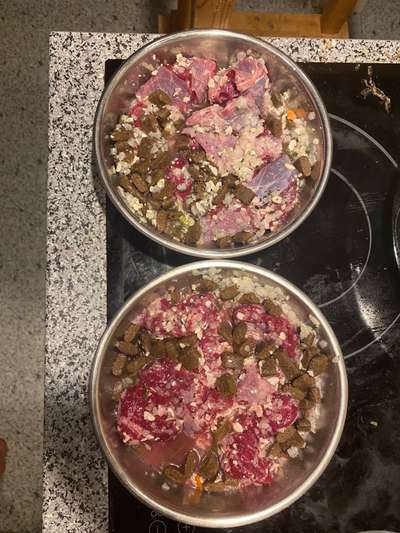 Zeigt her Eure Futternäpfe-Beitrag-Bild