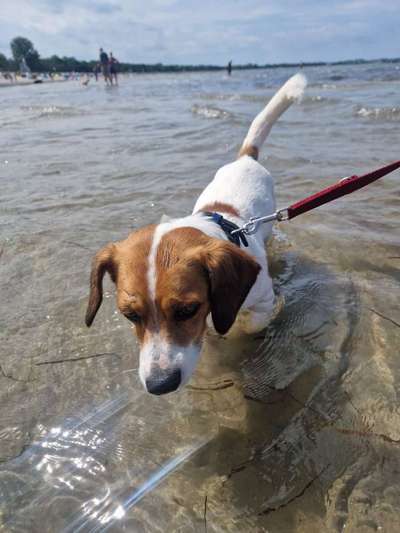 Eure schönsten Fotos mit Wasser-Beitrag-Bild