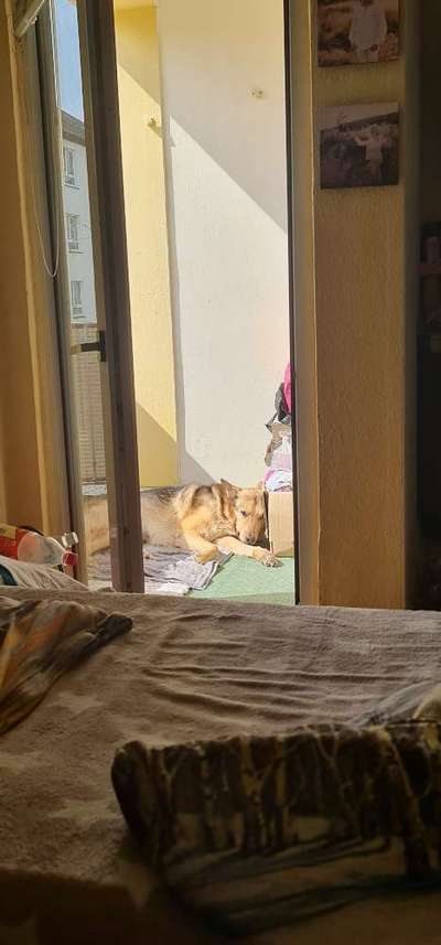 Allein lassen-Beitrag-Bild