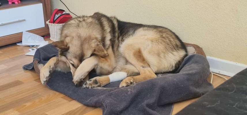 Allein lassen-Beitrag-Bild