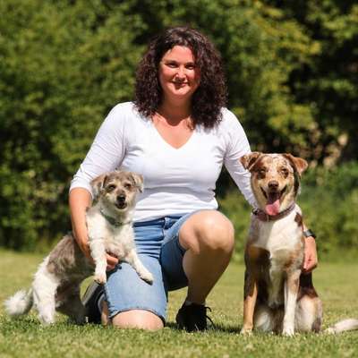 Medizinische Dienstleistungen-Hundephysiotherapie Lena Rummenholl-Bild
