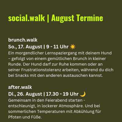 Giftköder-social.walk-Bild