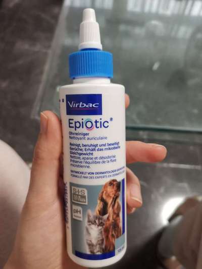 welches futter? allergie-Beitrag-Bild