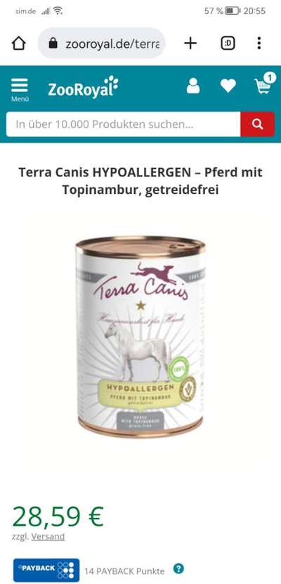 welches futter? allergie-Beitrag-Bild