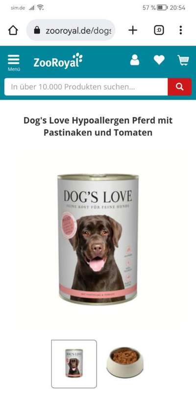 welches futter? allergie-Beitrag-Bild