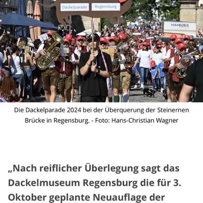 aktuelles Foto Gruppe Dackel