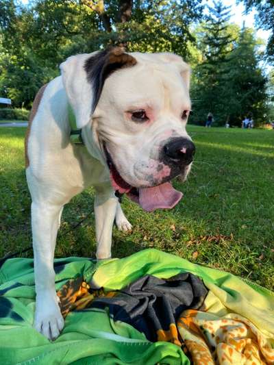 Farben Fotochallenge Thema ,,Grün"-Beitrag-Bild