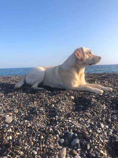 Lieblingsbild-Beitrag-Bild