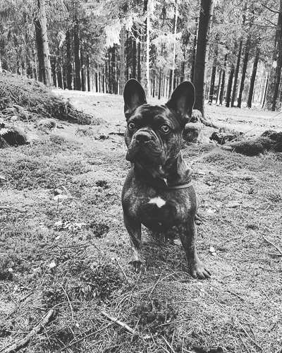 Lieblings Fotos-Beitrag-Bild