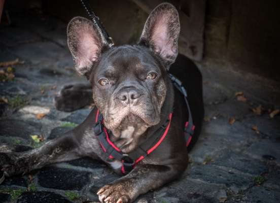 Lieblingsbild-Beitrag-Bild