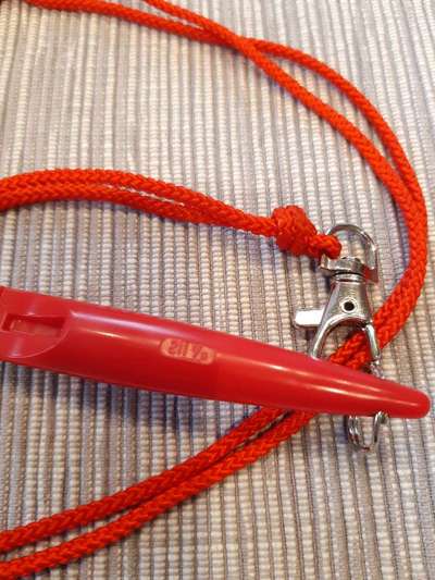 Gebell im Büro und an der Haustür-Beitrag-Bild