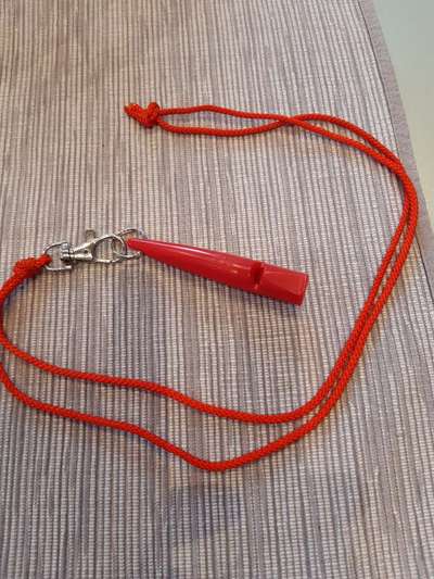 Gebell im Büro und an der Haustür-Beitrag-Bild