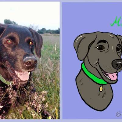 Doppelgänger gesucht !-Beitrag-Bild