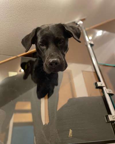 53. Collage Challenge - Verschiedene Blickwinkel-Beitrag-Bild