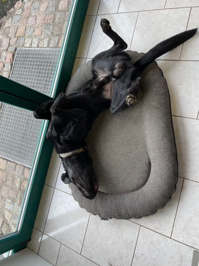 Foto Challenge - Zeigt her eure Bäuche-Beitrag-Bild