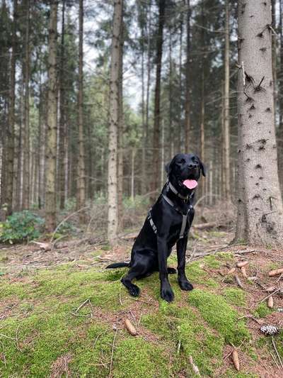 Fotochallenge Glanzbilder,du glänzt so schön-Beitrag-Bild