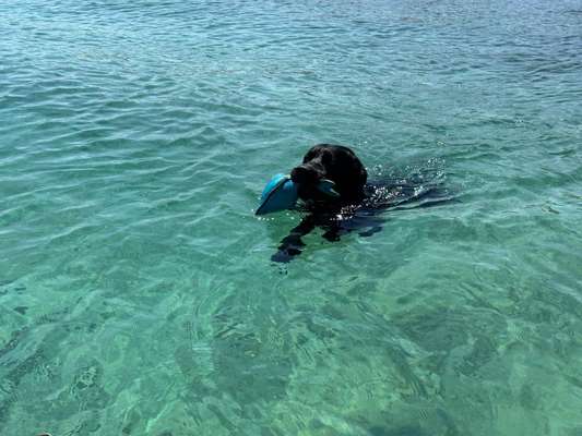 Eure schönsten Fotos mit Wasser-Beitrag-Bild