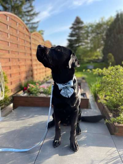 53. Collage Challenge - Verschiedene Blickwinkel-Beitrag-Bild